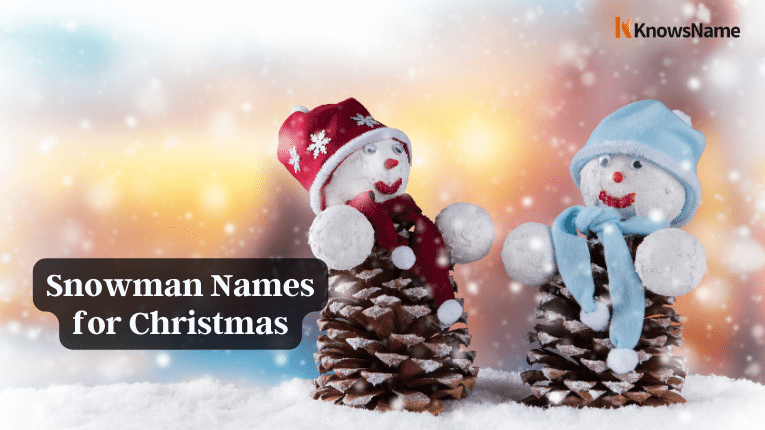 Christmas Snowman Names