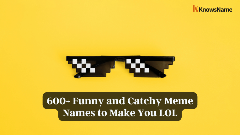 Funny and Catchy Meme Names
