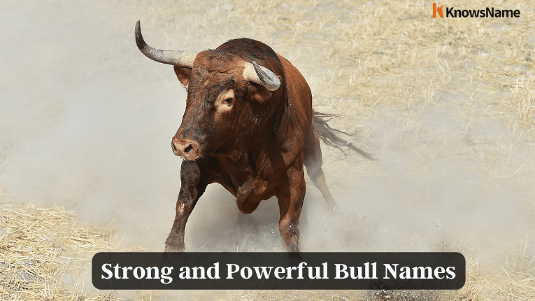 Strong and Powerful Bull Names