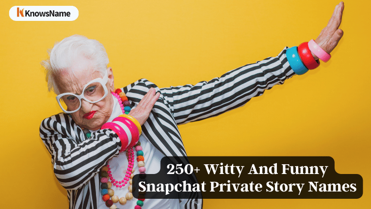 250+ Witty And Funny Snapchat Private Story Names