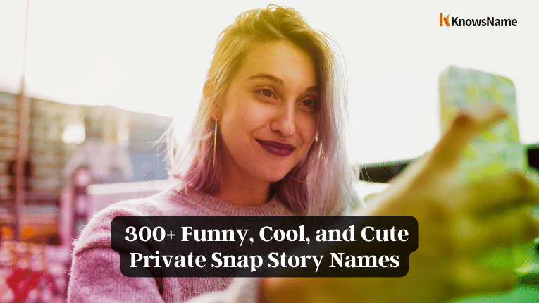  300+ Funny, Cool, and Cute Private Snap Story Names