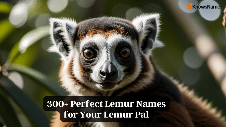 300+ Perfect Lemur Names for Your Lemur Pal