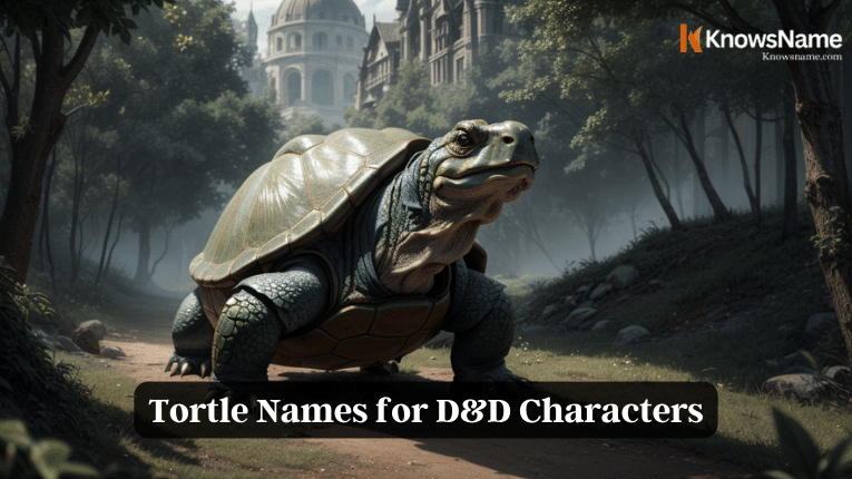 Tortle Names for D&D Characters