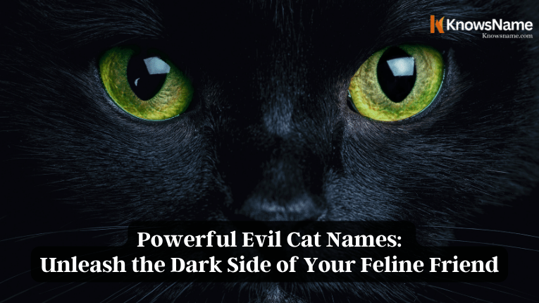 Powerful Evil Cat Names